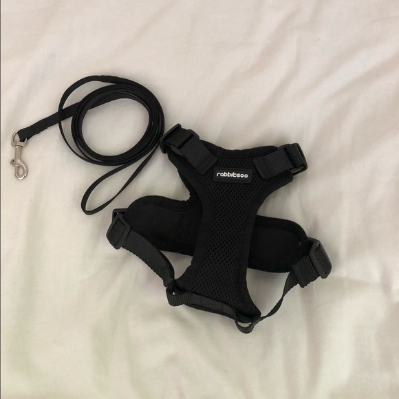 cat harness and leash - Picture 2 of 2